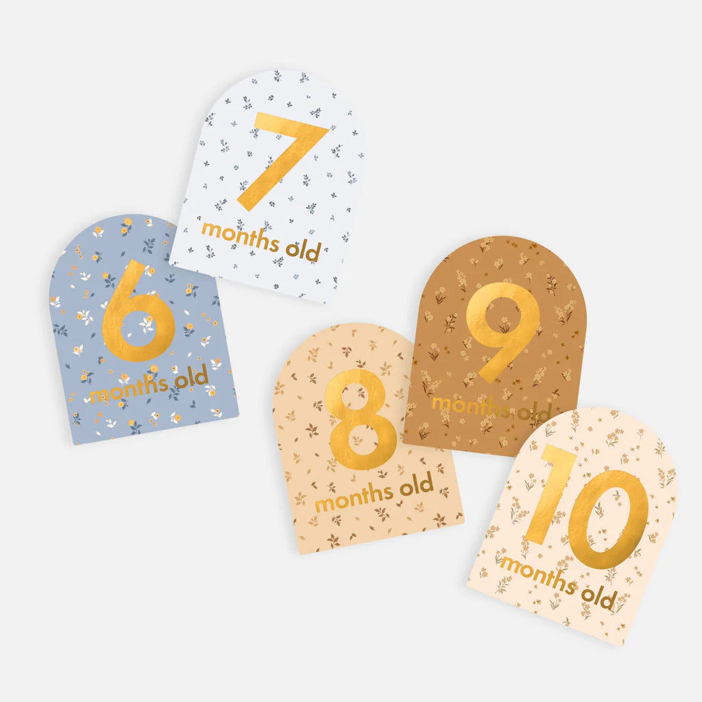 Baby Milestone Cards Broderie