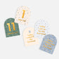 Baby Milestone Cards Broderie