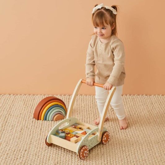 Baby Walker with Blocks