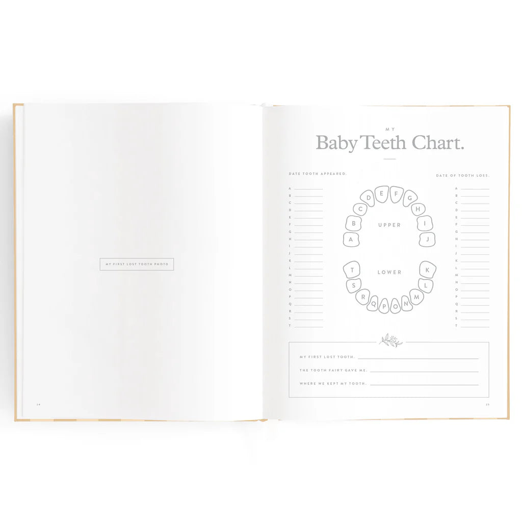 Baby Book Coffee Stripe