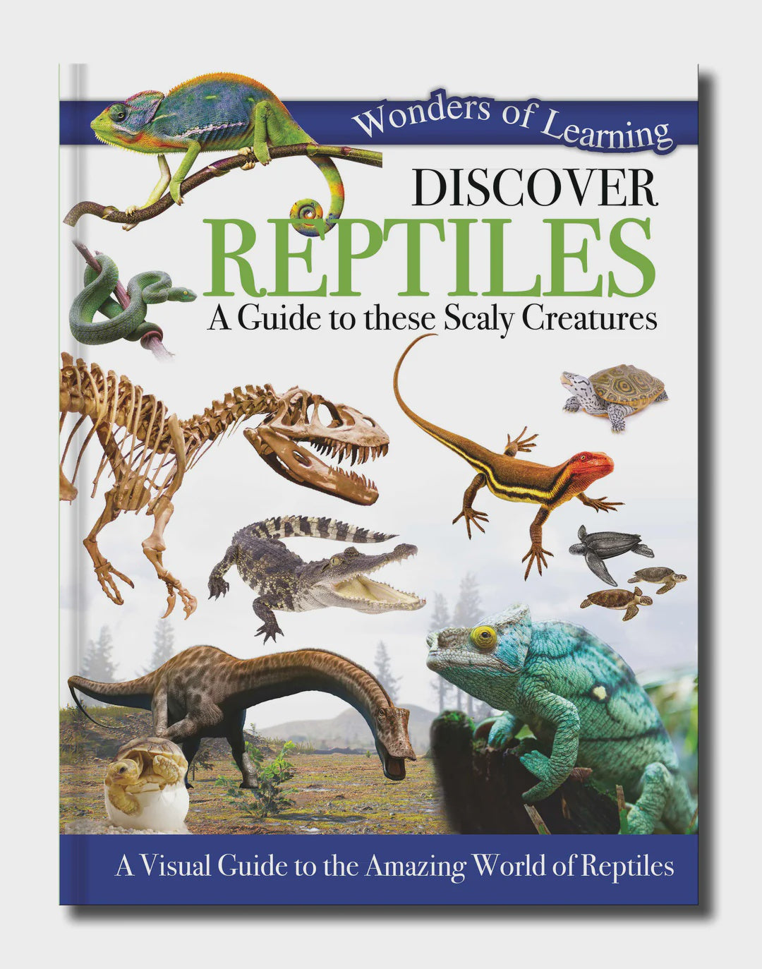 Wonders of Learning - REPTILES